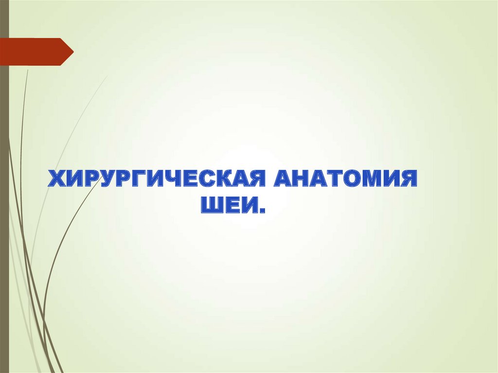 Хирургическая анатомия шеи - презентация онлайн
