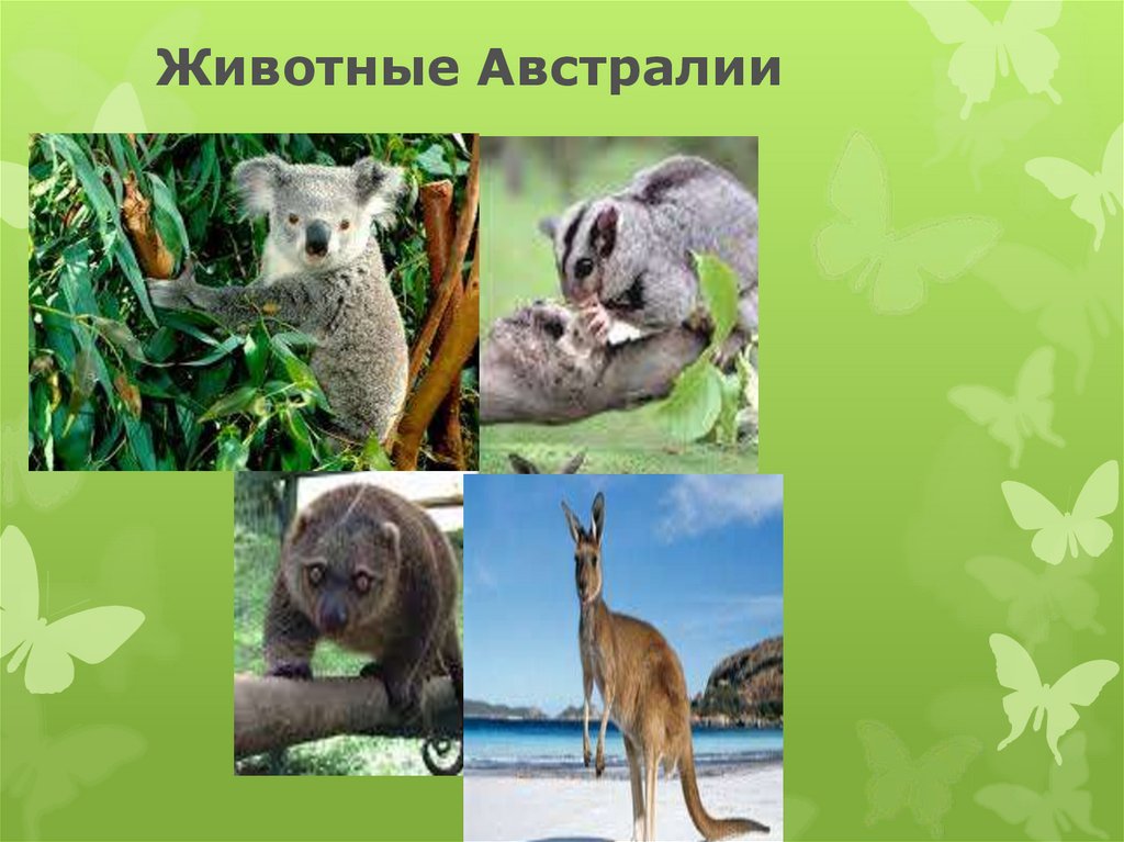 Презентация по австралии 4 класс