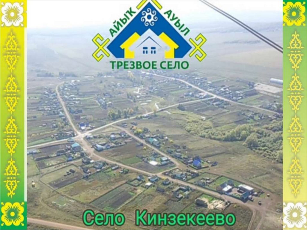 Проект трезвое село