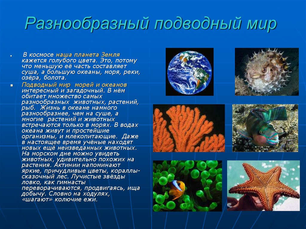 Сообщение удивительные обитатели океана. Морские и Океанические обитатели. Презентация морские обитататели. Сообщение о подводных обитателях. Сообщение о морских обитателях.