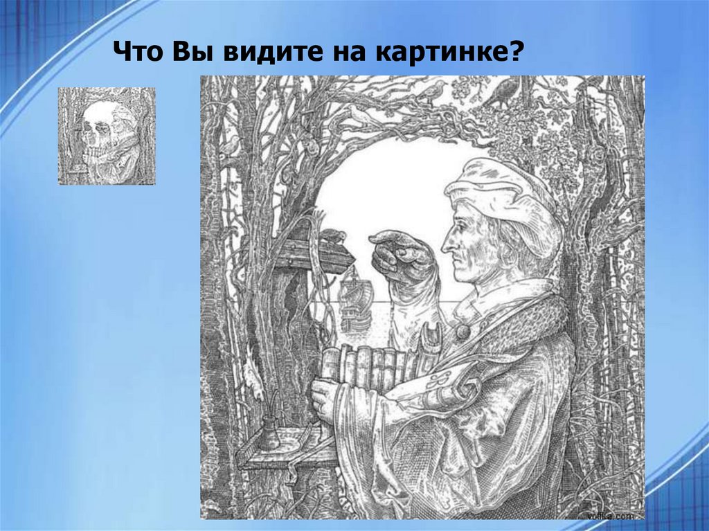 Что Вы видите на картинке?