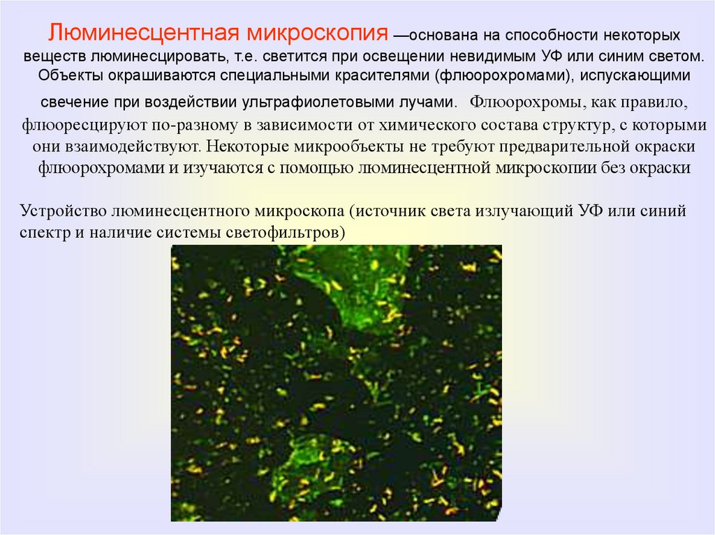 Опишите микроскопию