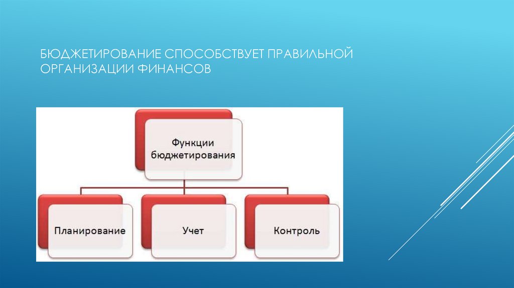 Пример бюджетного предприятия. Пример бюджетного предприятия