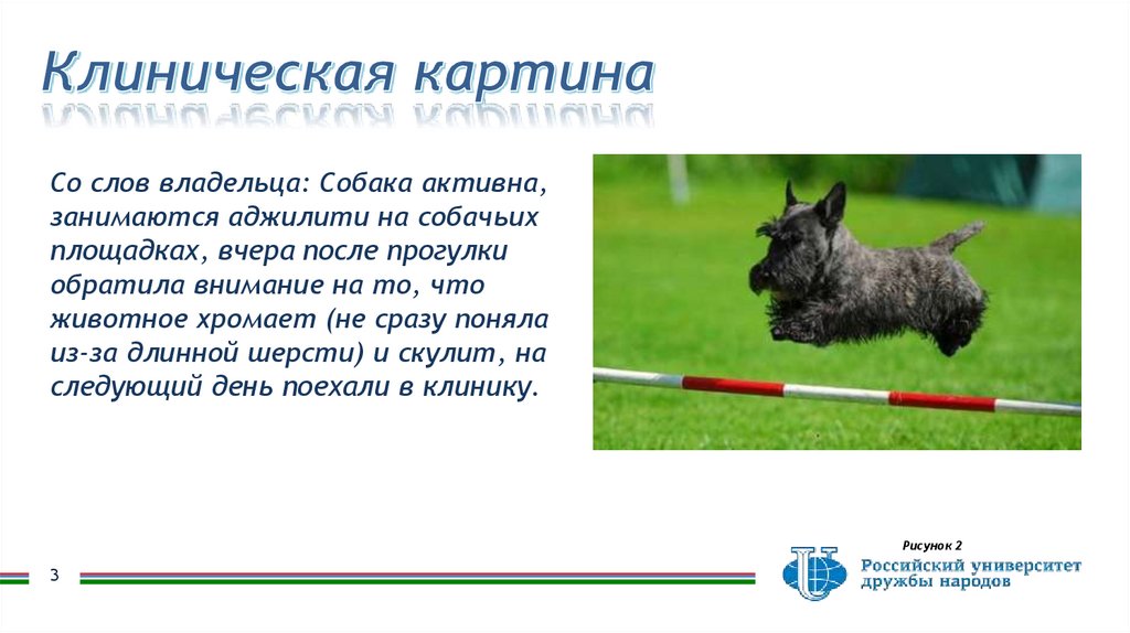 Клиническая картина