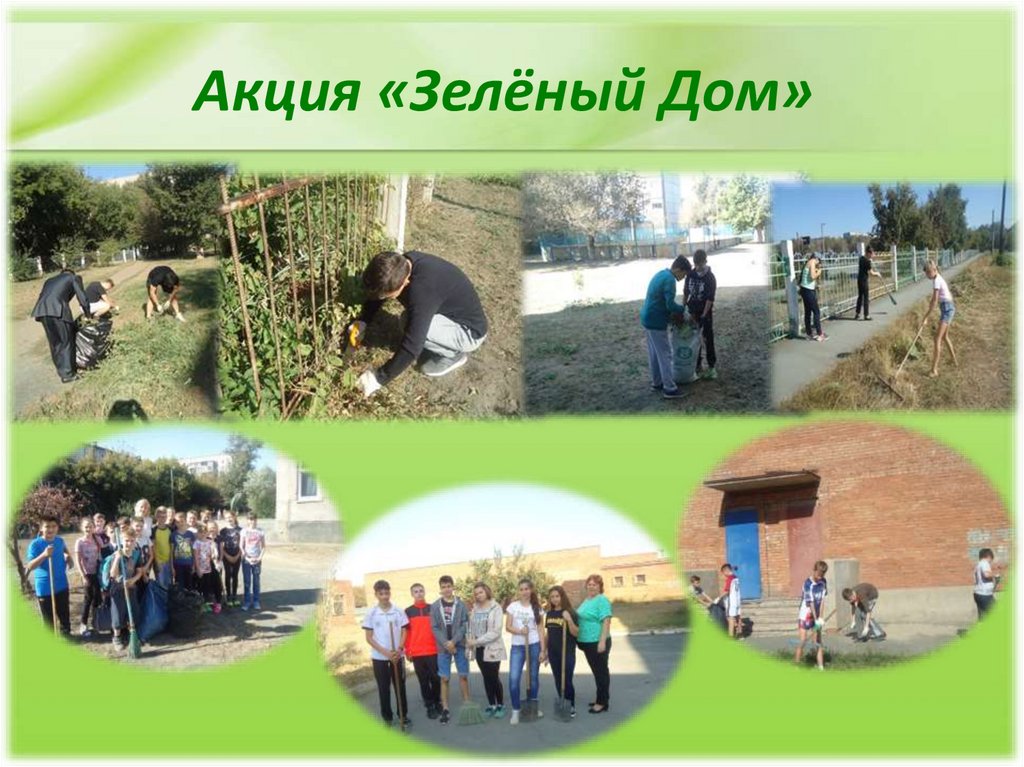 Акция «Зелёный Дом»
