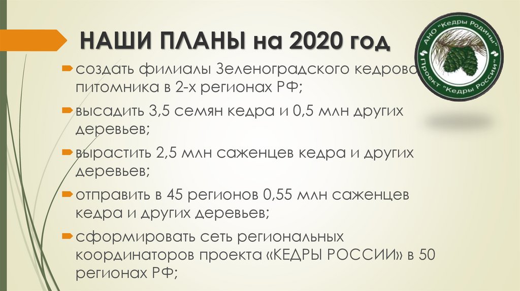 НАШИ ПЛАНЫ на 2020 год