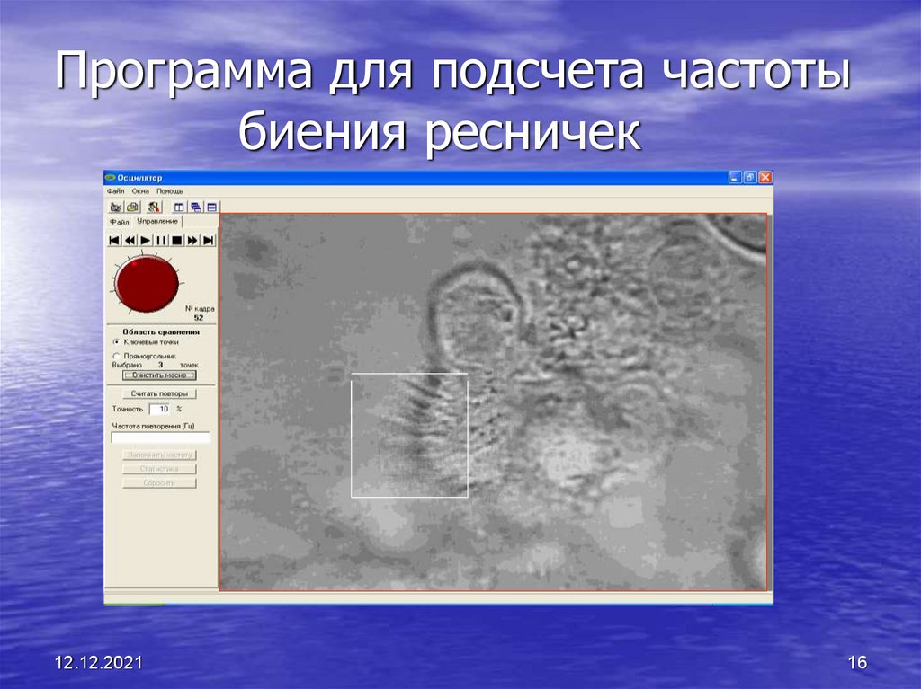 Программа для подсчета частоты биения ресничек