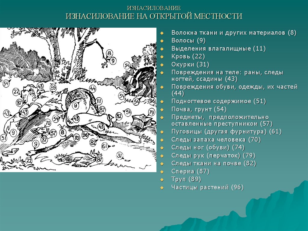 ИЗНАСИЛОВАНИЕ ИЗНАСИЛОВАНИЕ НА ОТКРЫТОЙ МЕСТНОСТИ
