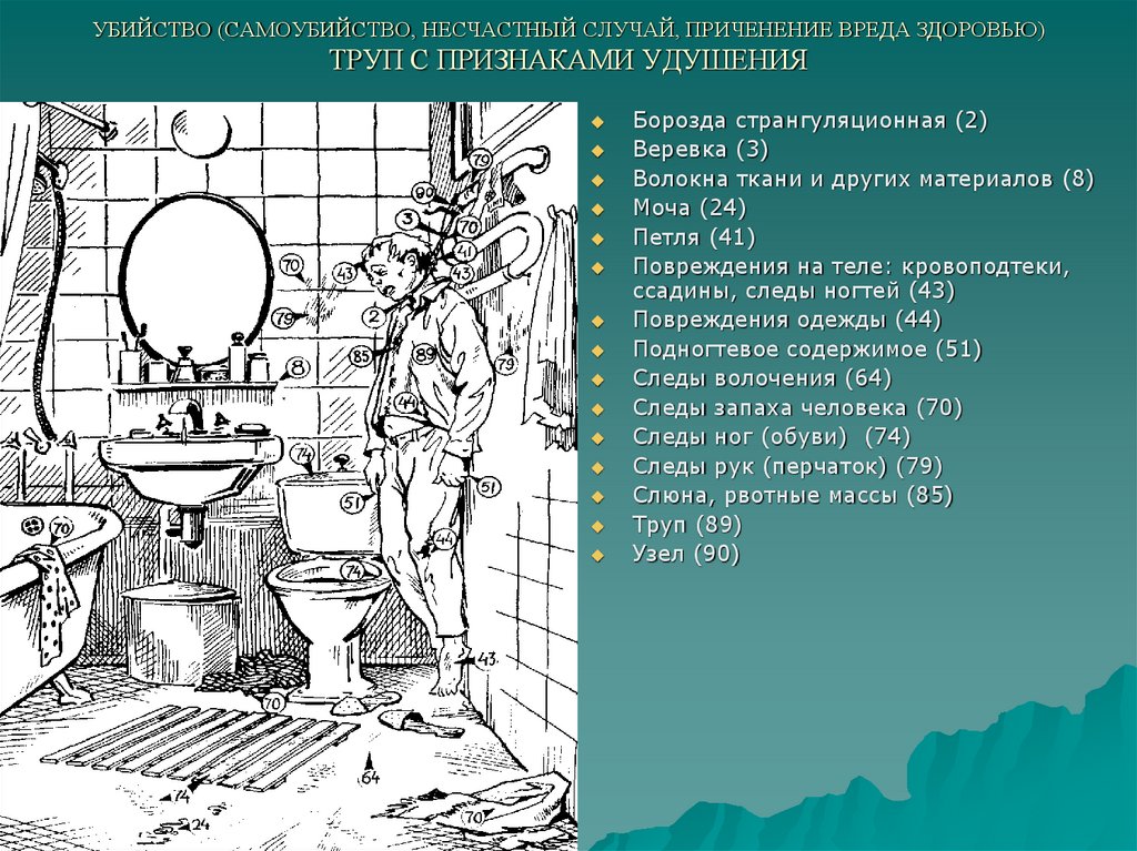 План расследования преступления убийство