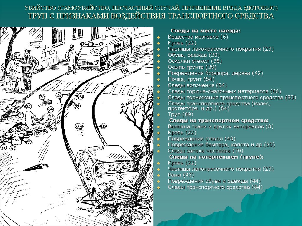 УБИЙСТВО (САМОУБИЙСТВО, НЕСЧАСТНЫЙ СЛУЧАЙ, ПРИЧЕНЕНИЕ ВРЕДА ЗДОРОВЬЮ) ТРУП С ПРИЗНАКАМИ ВОЗДЕЙСТВИЯ ТРАНСПОРТНОГО СРЕДСТВА