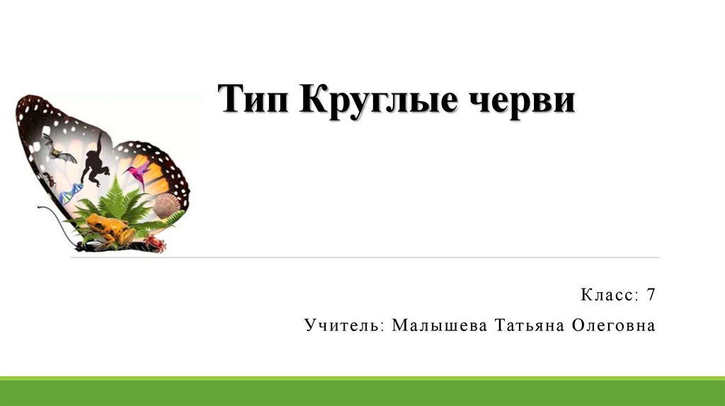 Тип Круглые черви