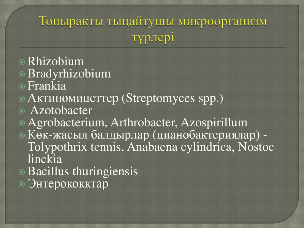 Топырақты тыңайтушы микроорганизм түрлері