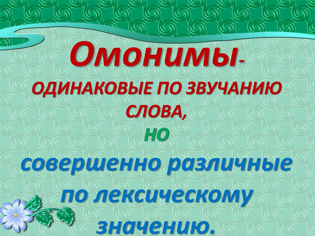 Омонимы презентация 5. Омонимы 5 класс. 5 Омонимов. Гусеница омоним. Омоним к слову гусеница.