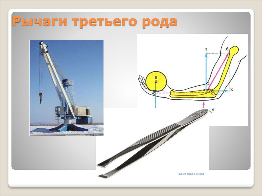 Какого устройство рычага. Рычаг 3 рода. Рычаги первого второго и третьего рода. Рычаг 3 типа. Рычаг третьего рода примеры.