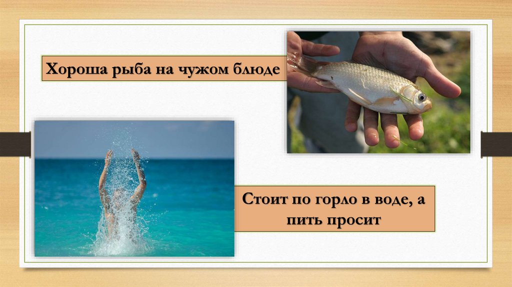 7 40 5 класс. 7 40 5 класс