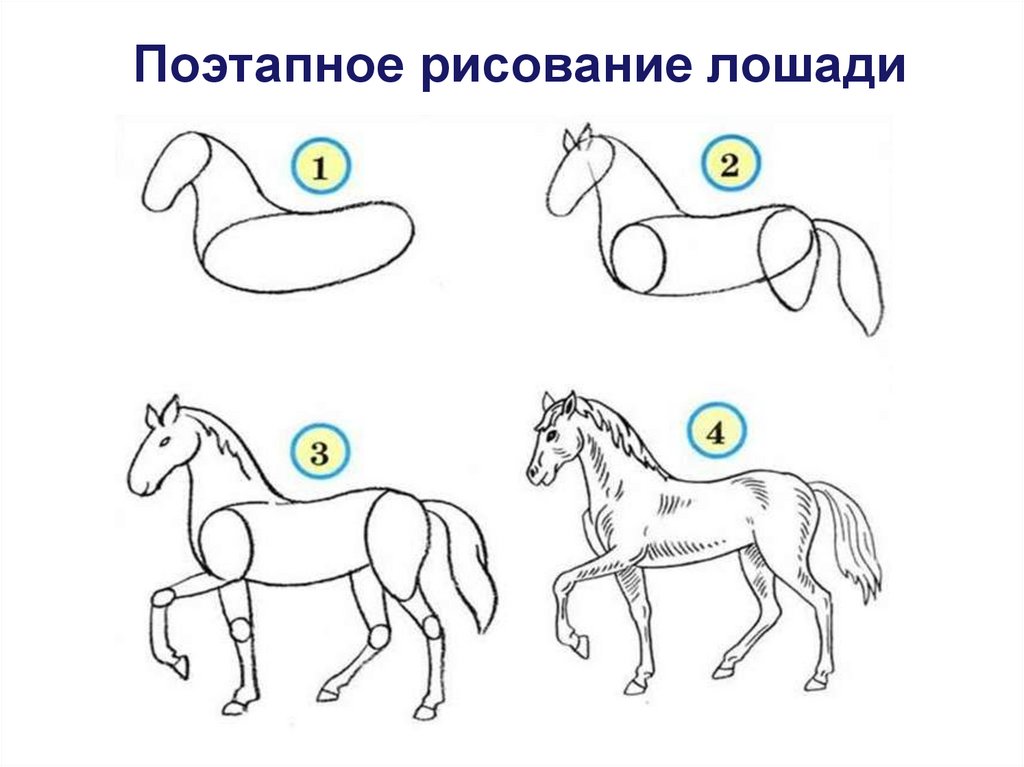 Презентация по изо 2 класс поэтапное рисование животных