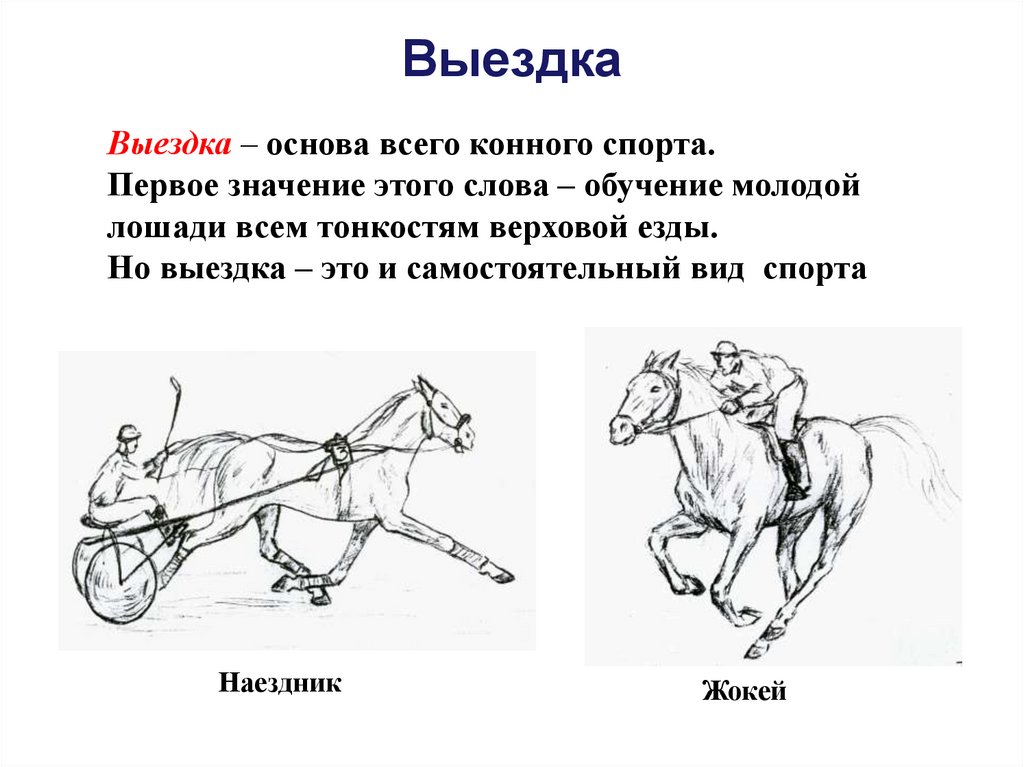 Значение слова этап. Образ лошади в изобразительном искусстве. • Этапы подготовки молодой лошади. Обучение молодых лошадей. Лошадь слово образ.
