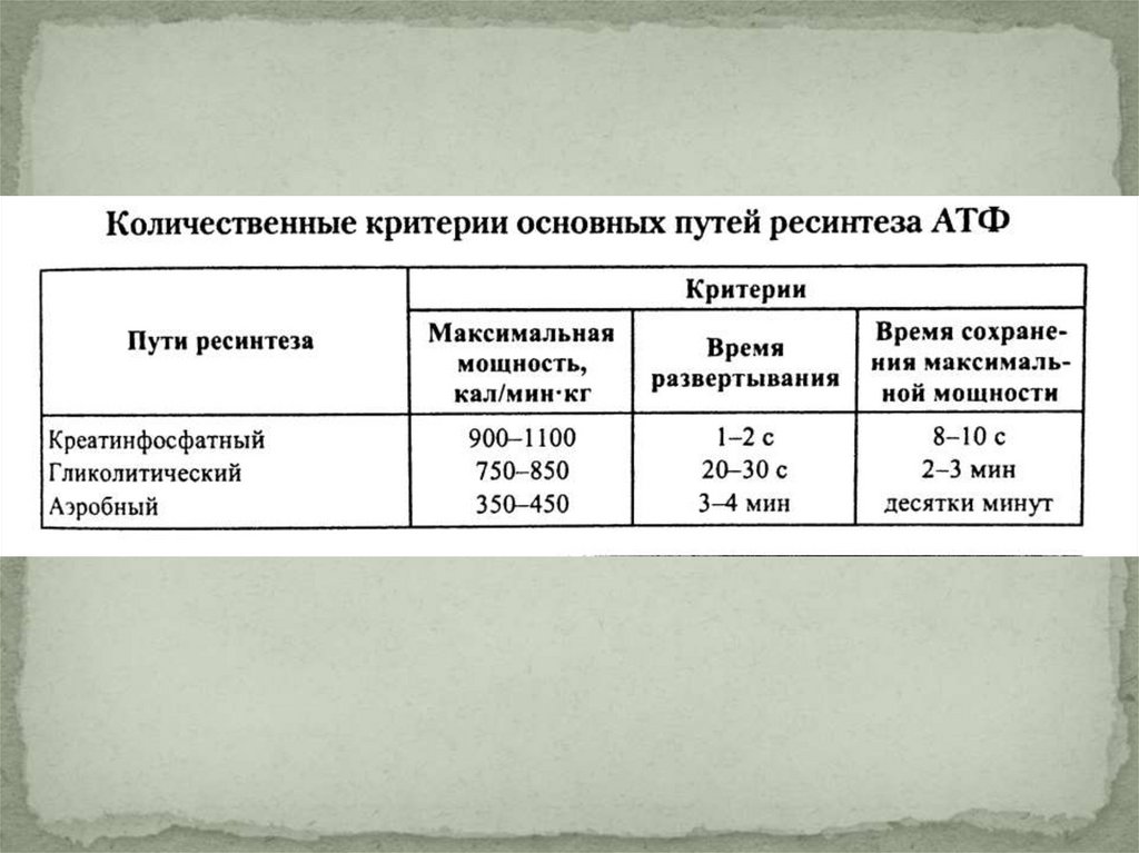 3 зона мощности. Зоны относительной мощности мышечной работы. Биоэнергетика мышечной деятельности. Зоны мощности по Фарфелю. В.С. Фарфель, 1939 зоны мощности таблица с ЧСС.