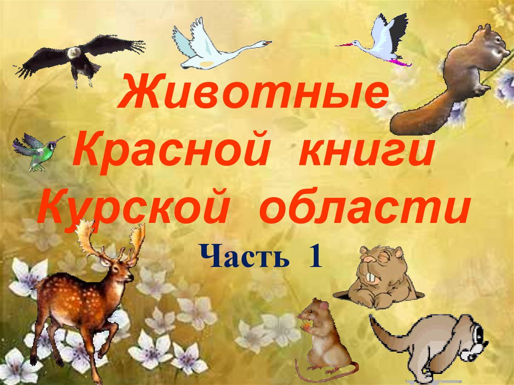 Животные Курской Области Фото