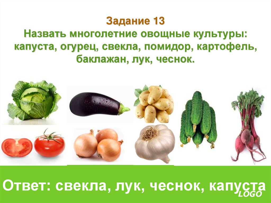 Список овощных растений. Овощные культуры. Многолетние овощи. Многолетние зеленые овощи. Овощи и овощные культуры.