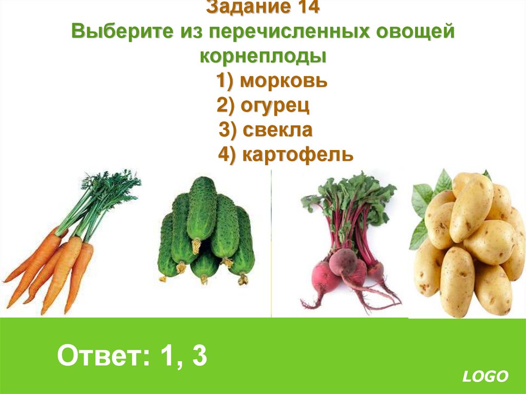 Овощ входящий в состав. Перечисли овощи. Корнеплодные овощи список. Выберите из перечисленных овощей корнеплоды:.