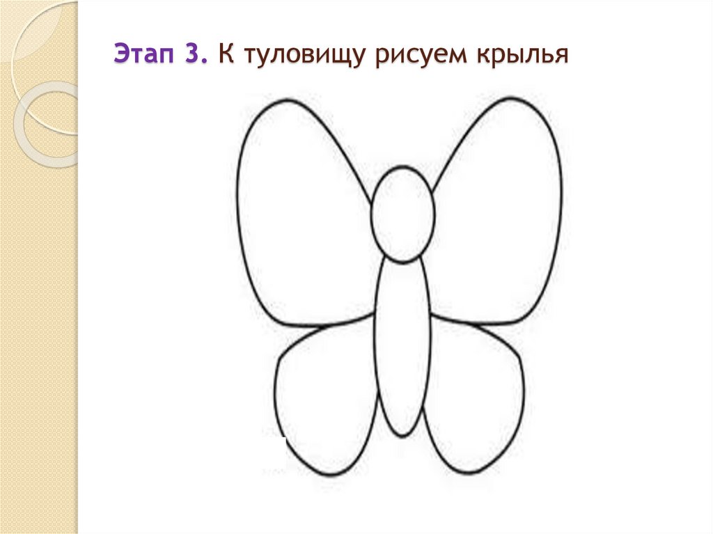 Этап 3. К туловищу рисуем крылья