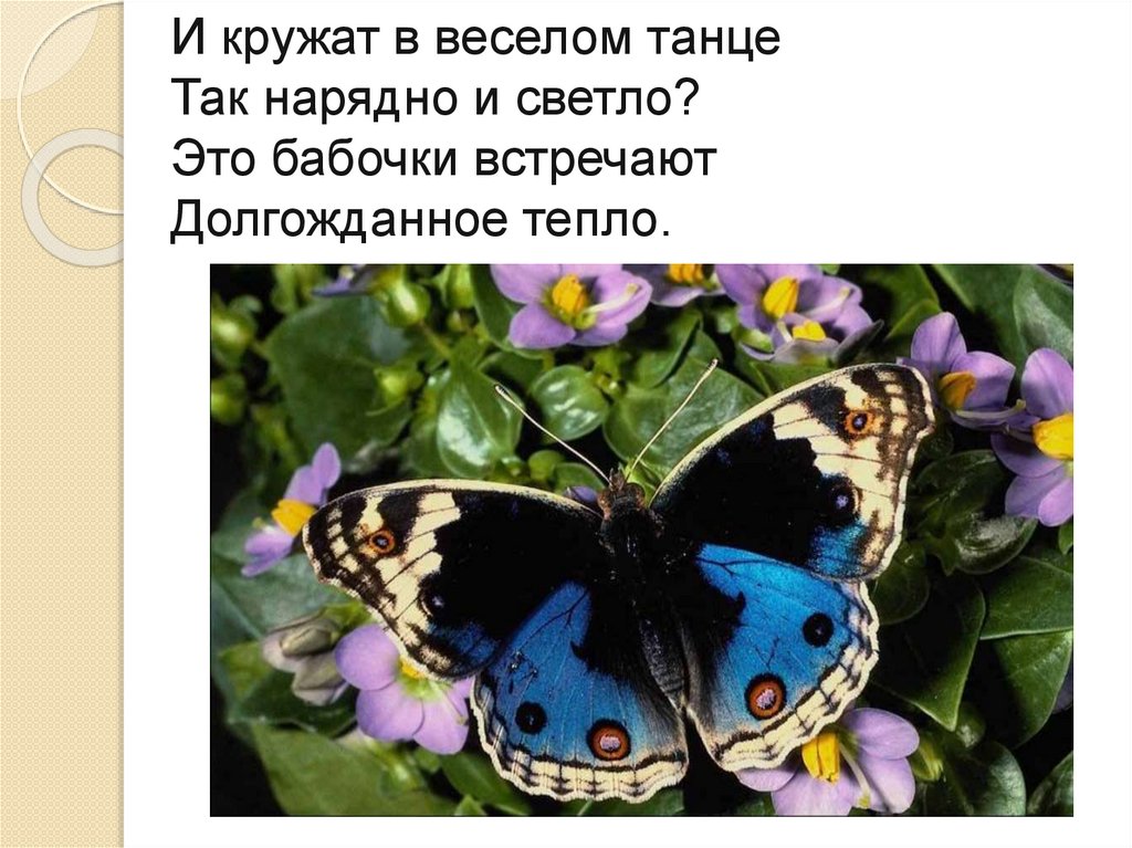 И кружат в веселом танце Так нарядно и светло? Это бабочки встречают Долгожданное тепло.