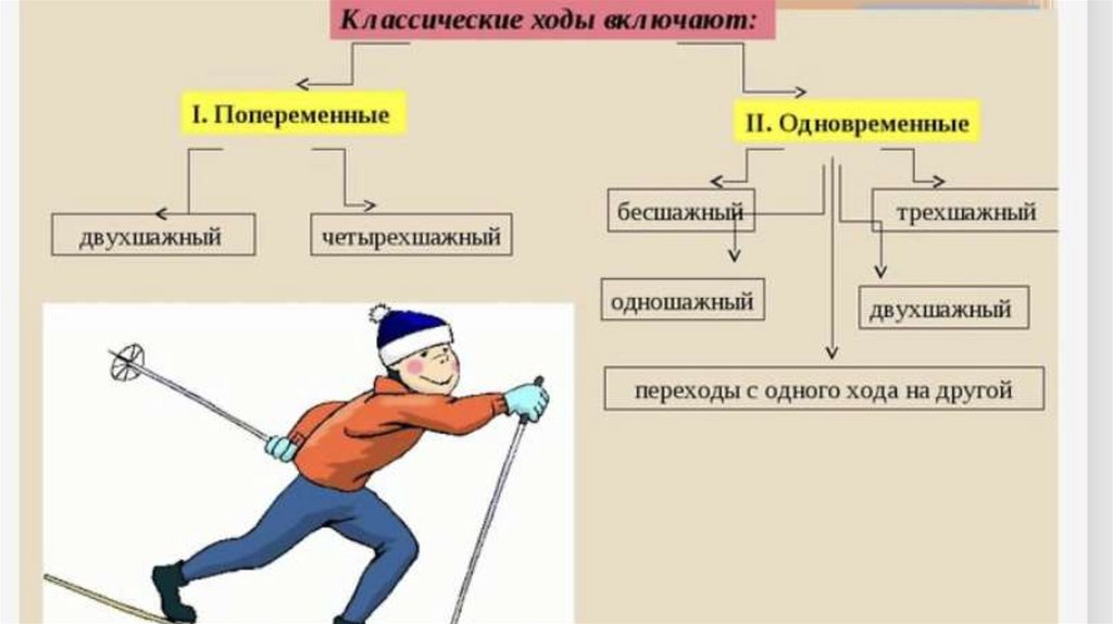 Виды передвижения. Классификация ходов на лыжах. Классические лыжные ходы таблица. Классический ход на лыжах техника. Классические лыжные ходы.