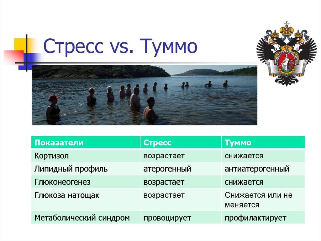 Стресс vs. Туммо