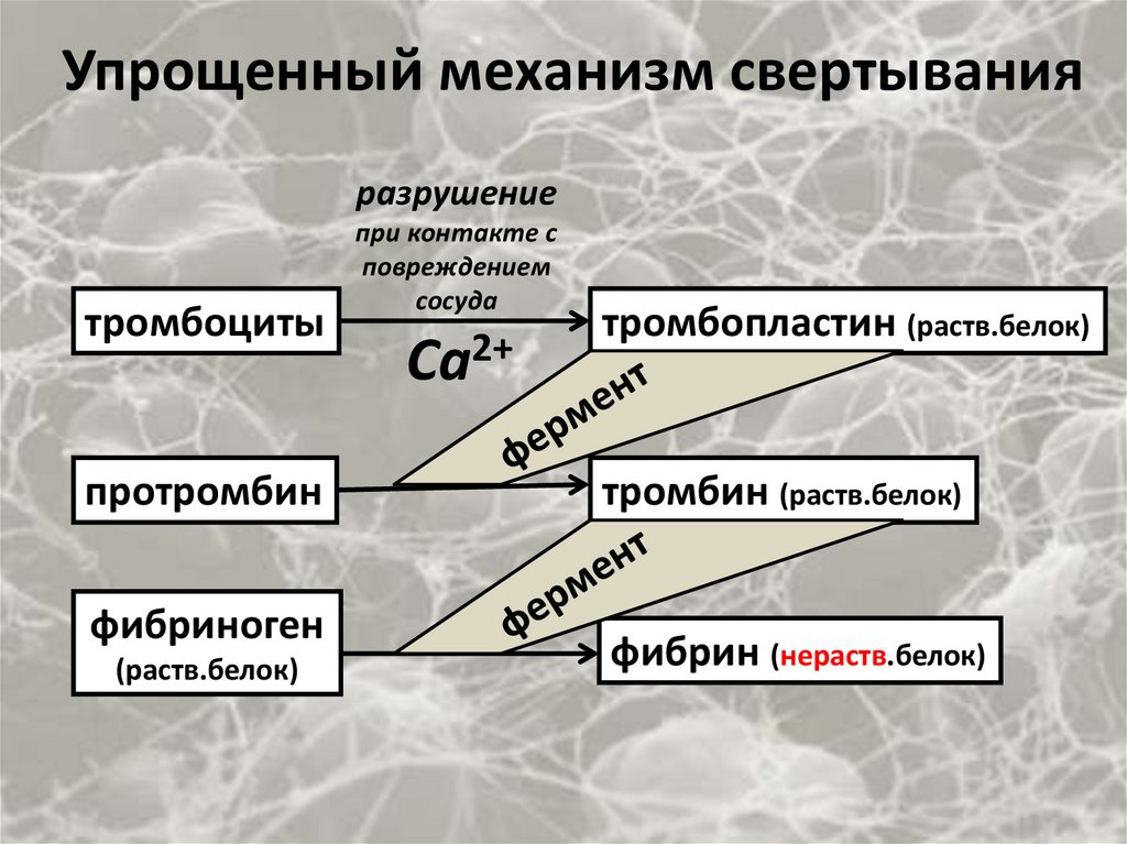Упрощенный механизм свертывания