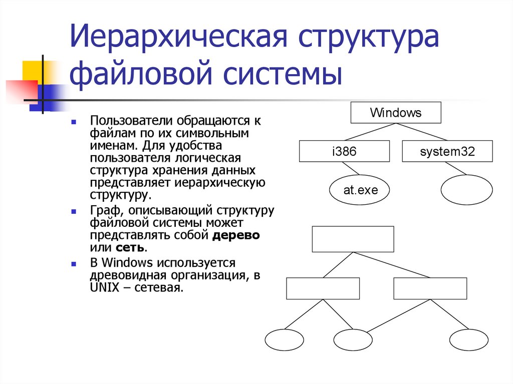 Как называется графическое изображение иерархической файловой структуры