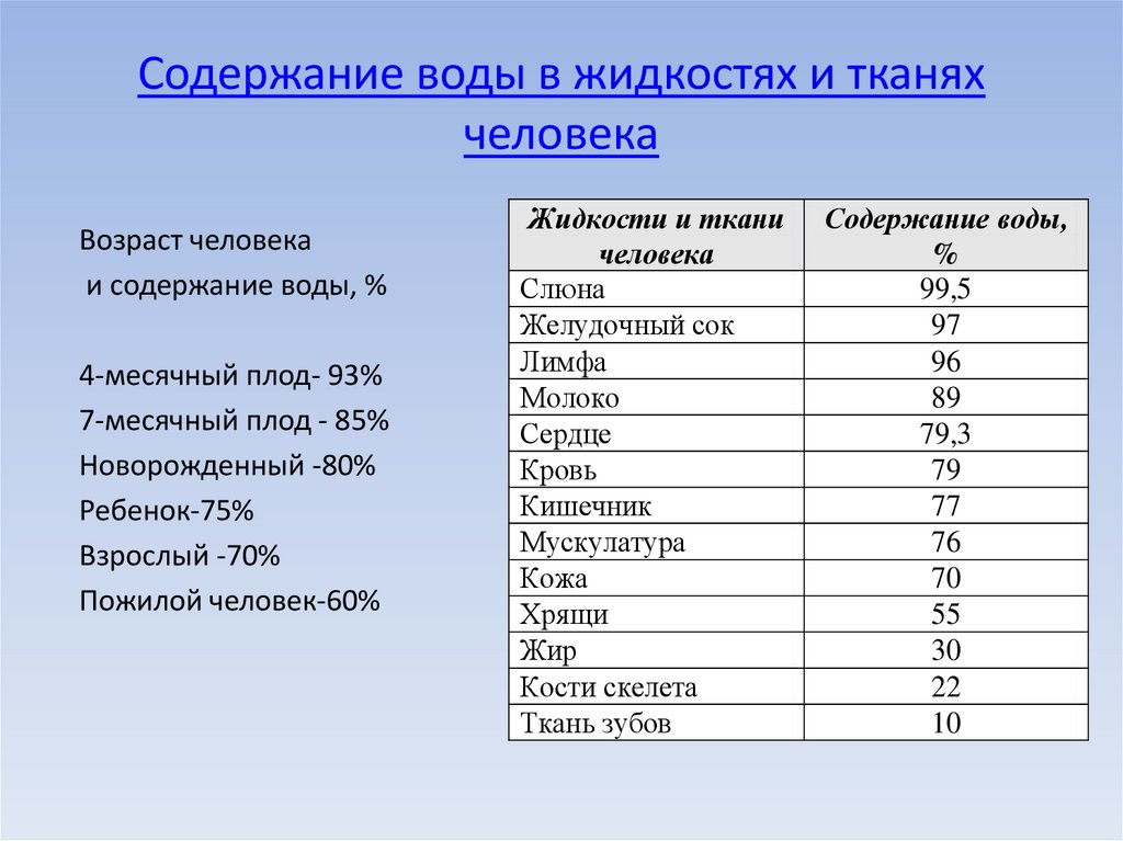 Содержание воды в супах