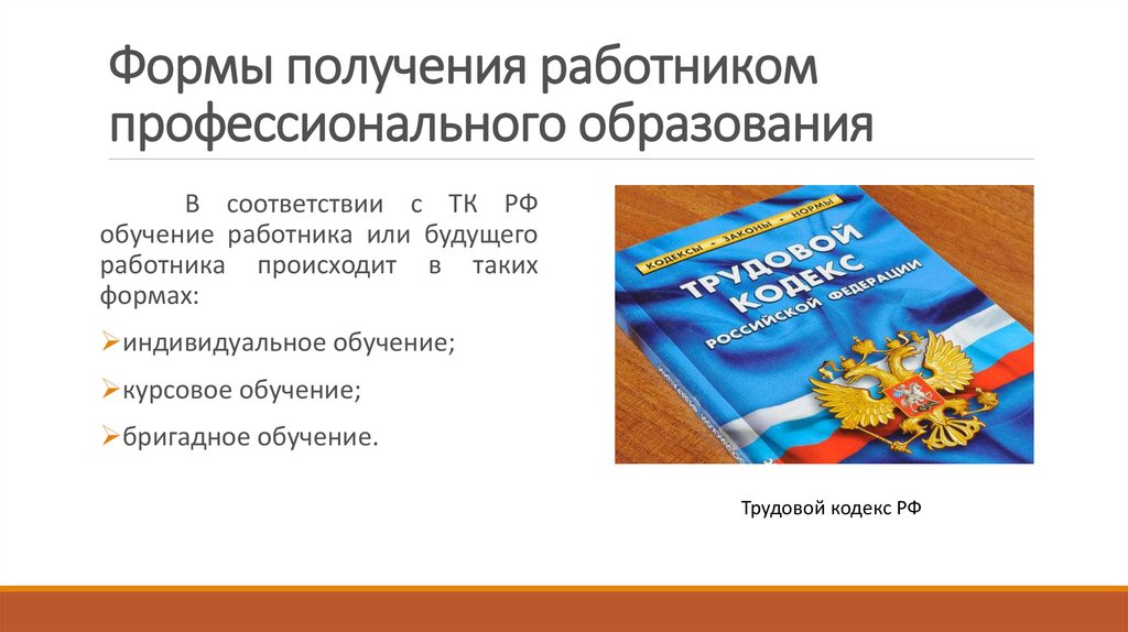 Формы получения профессионального образования. Право форм получения образования.