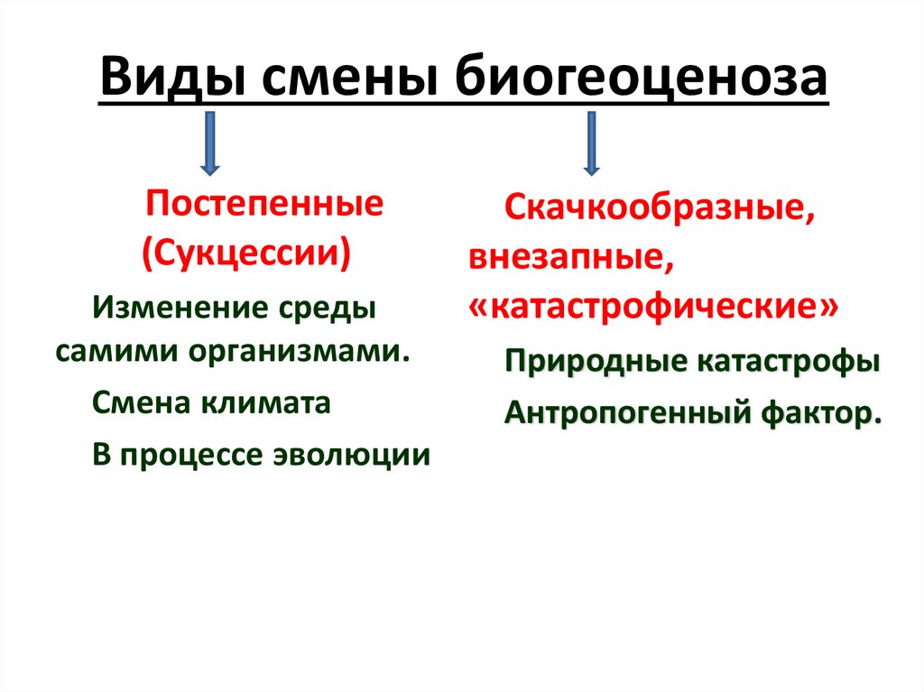 Примеры быстрой смены экосистем. Смена биогеоценоза сукцессии. Виды смены биогеоценоза. Типы сукцессий. Саморазвитие и смена экосистем.