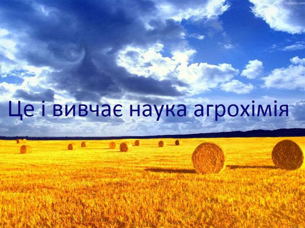 Роль хімії в розв’язуванні продовольчої проблеми