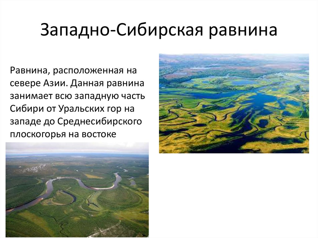 В какой стране находится западно сибирская равнина