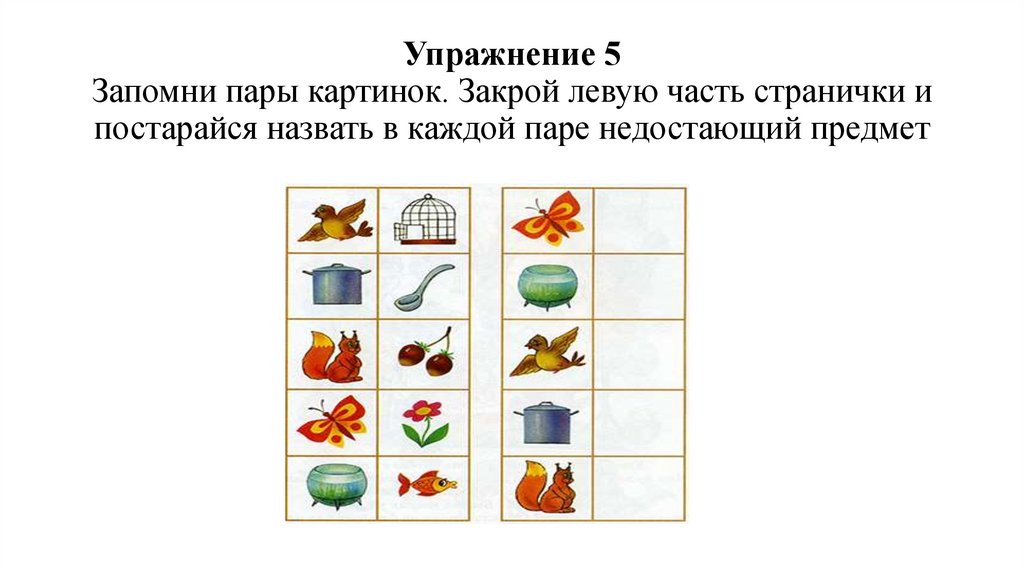 Программа развития памяти у младших школьников