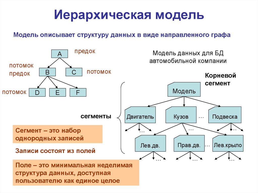 Теория структуры данных. Иерархическая база данных. Иерархическая модель данных.. Структурная модель баз данных это. Схему иерархической структуры БД.