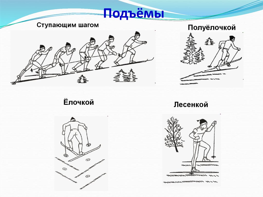 Технологическая карта лыжная подготовка