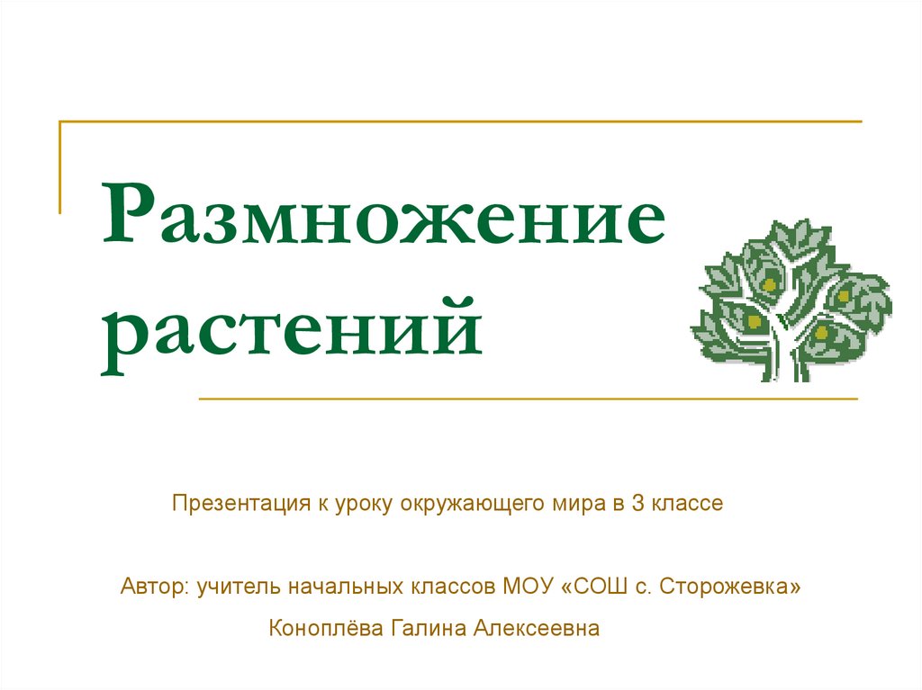 Презентация размножение растений своими частями 2 класс презентация