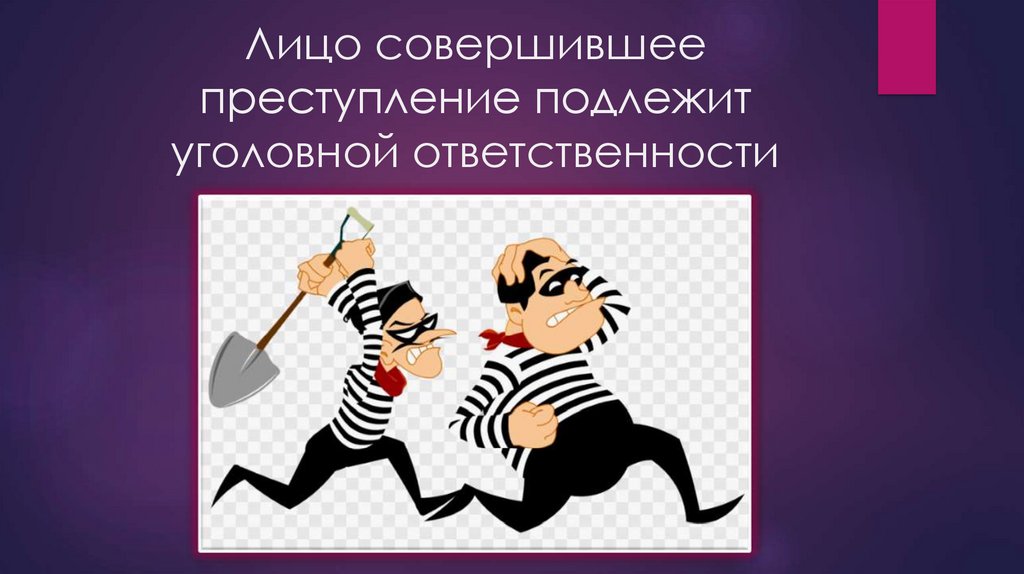 Уголовной ответственности и наказанию подлежит только лицо. Уголовной ответственности и наказанию подлежит только лицо