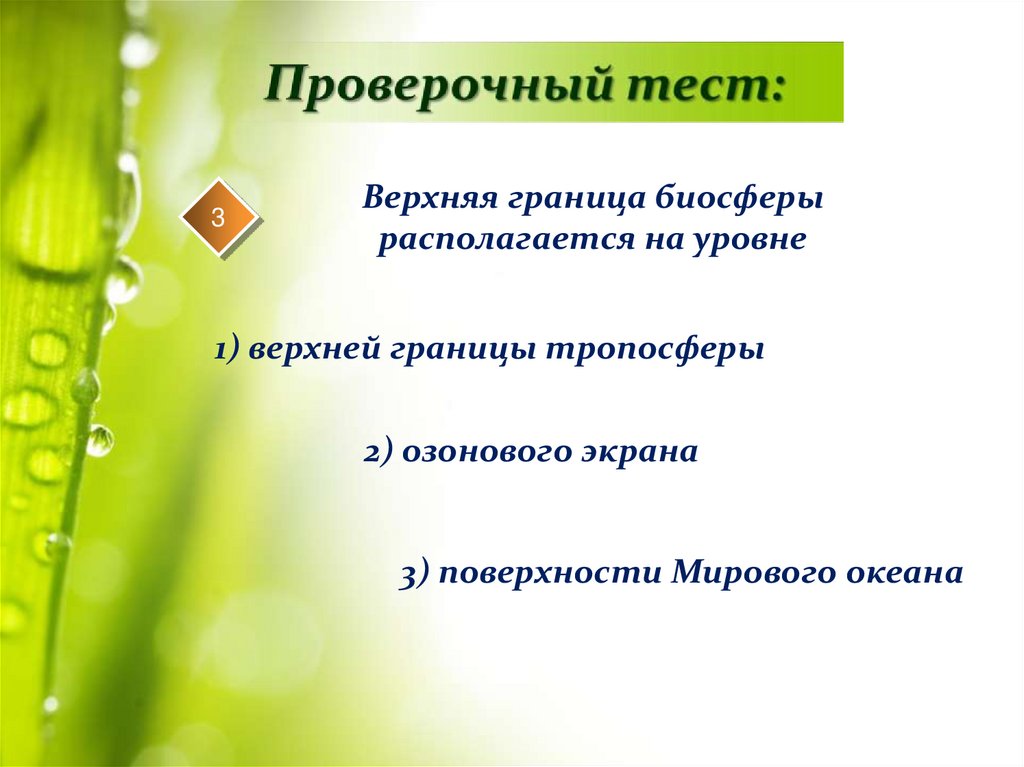 Биосфера вакансии. Биосфера оболочка жизни. Контрольная работа Биосфера. 6 Класс контрольная работа по теме "Биосфера — оболочка жизни". Биосфера оболочка жизни тест.