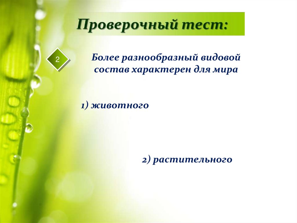 Более разнообразны. Более разнообразный видовой состав характерен для мира. Более разнообразный видовой состав характерен для. Более разнообразный видовой состав характерен для мира животного.