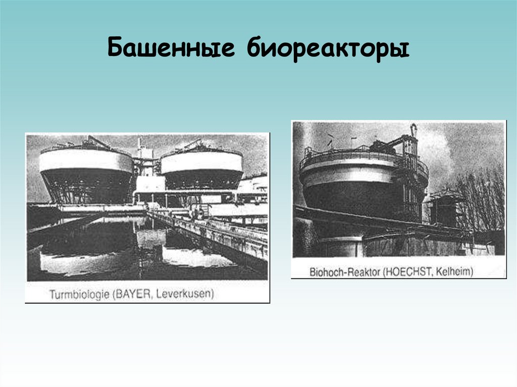 Башенные биореакторы