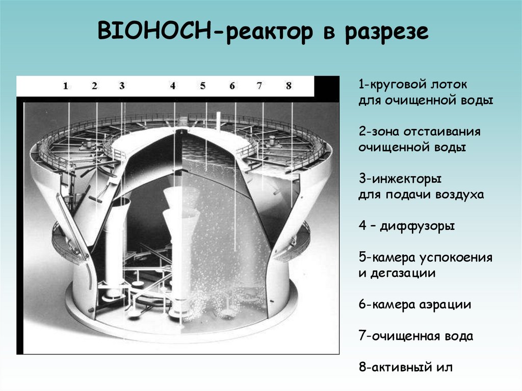 BIOHOCH-реактор в разрезе