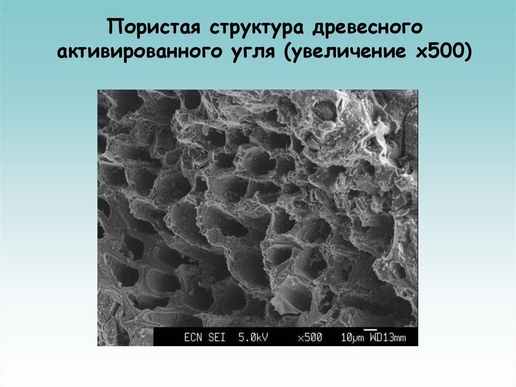 Пористая структура древесного активированного угля (увеличение х500)