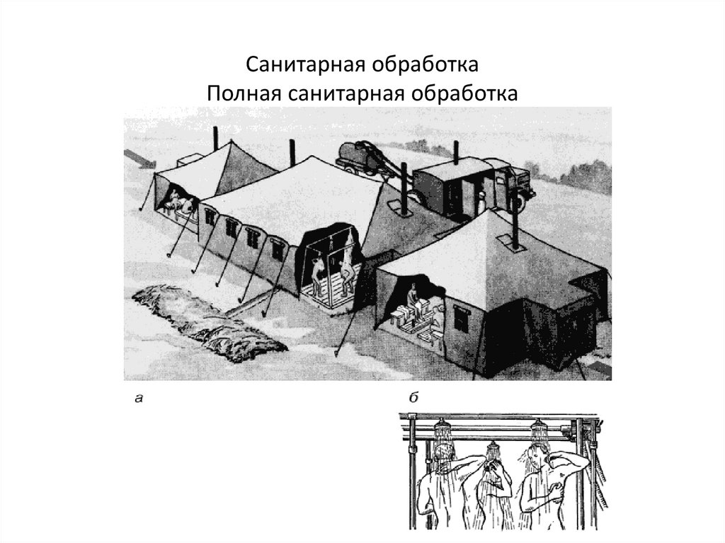 Санитарная обработка Полная санитарная обработка
