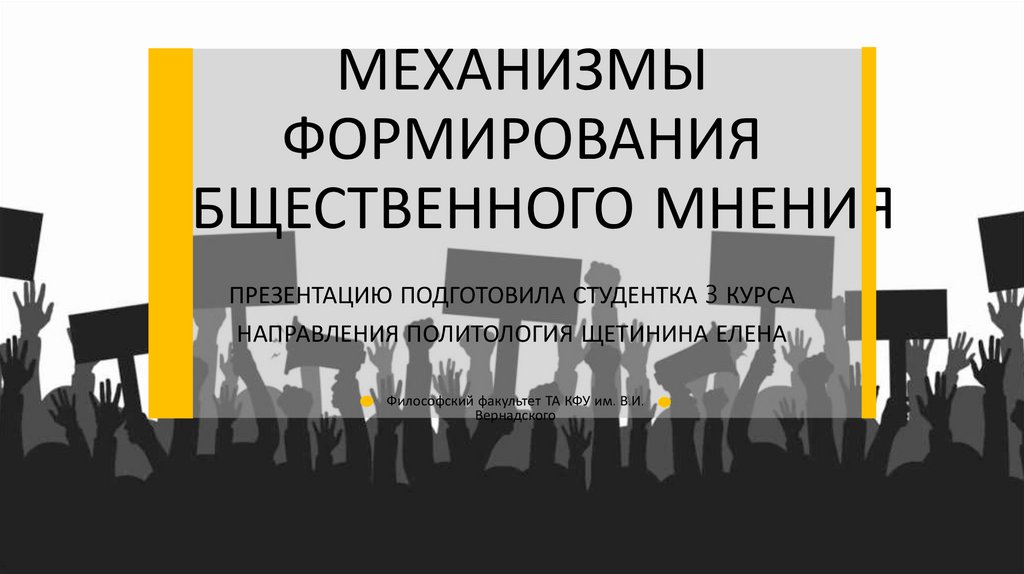 Механизмы формирования общественного мнения. Формирование общественной палаты.