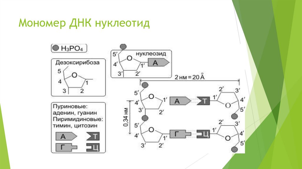 Формулы. Химия - презентация онлайн