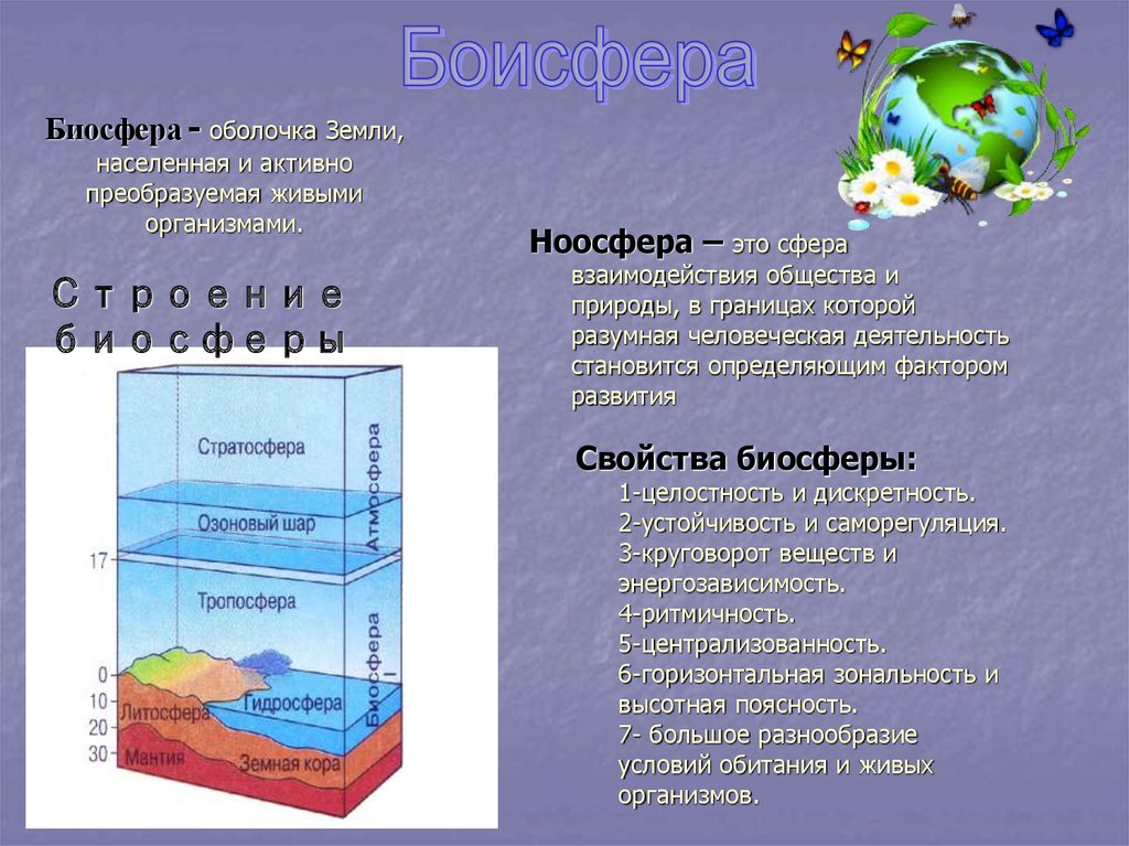 Таблица оболочки биосферы. Биосфера.